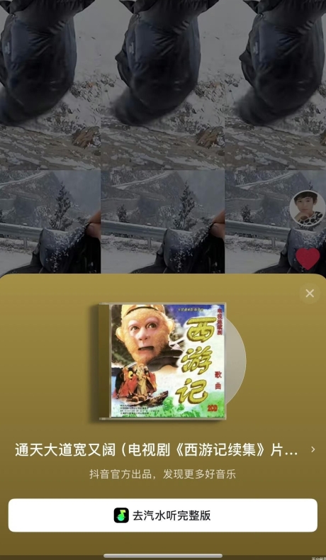 汽水音乐音质无法切换？设置调整与网络优化方法